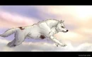 heaven wolf