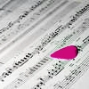 guitar pic