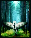 pegasus