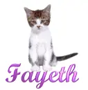 Cat-Fayeth