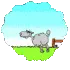 counting sheeps