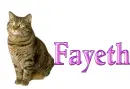 Fayeth-Cat