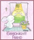 Praying Bunny