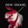New Moon