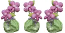 Cute Flowers