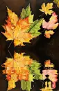 leaf, liÅ›Ä‡, liÅ›cie