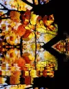 leaf, liÅ›Ä‡, liÅ›cie