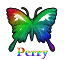 Perry-butterfly