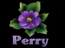 Perry-Flower