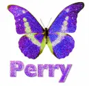 Perry-butterfly
