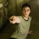 Potter THIS Potter THAT