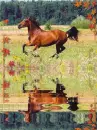 horse - forest, KoÅ„ w galopie, koÅ„ w jesieni