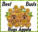 Best Buds - Hugs Aggela