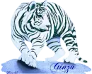 White tiger - Ginza