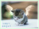 my angel