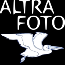 altrafoto 
