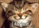 cat fart