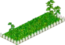 make-a-scene - weed patch X3