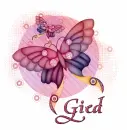 Gied