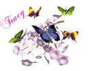 TRACY