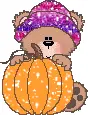Pumpkin Bear