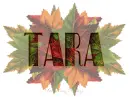 Fall Leaves Tara