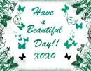 Butterflies Have a beautiful day
