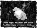 Death beings