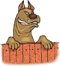 one bad dog