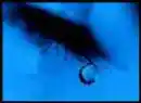 Sad eye