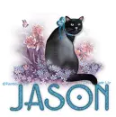 JASON Sitting Pretty 