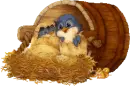 Blue Birds in nest