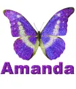Amanda-butterfly