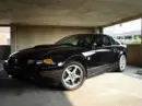 mustang