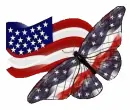 butterfly, patriotic