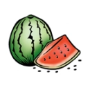 watermelon