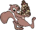 Squirrel