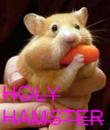 HOLY HAMSTER O_O