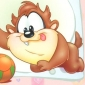 Baby Taz