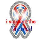 i support the troops!