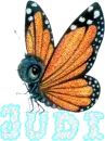Judi butterfly 