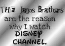 the jonas brothers are the only reason why i watch disney channel
