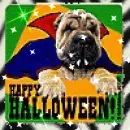Happy Halloween