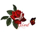 Name with rose