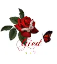 rose with name