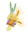 Fall Flowers