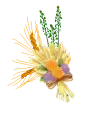 Fall Flowers