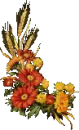 Fall Flowers