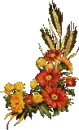 Fall Flowers