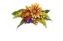 Fall Flowers